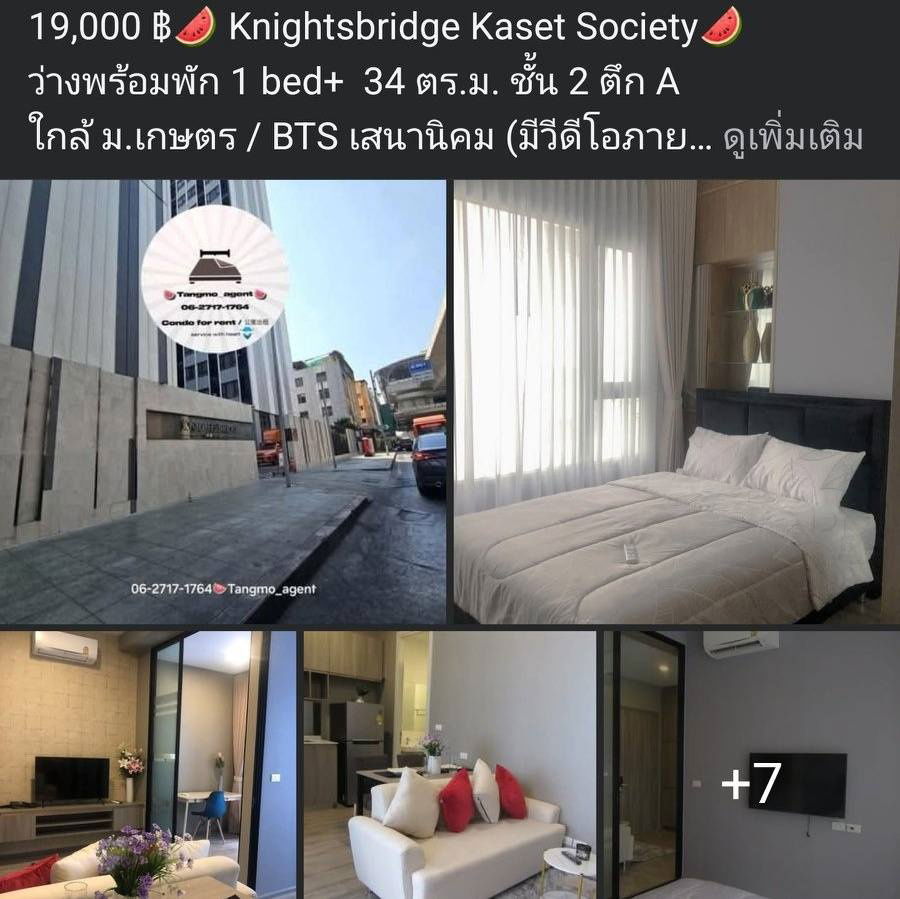 picture Knightsbridge Kaset Society                                . - 4/5
