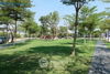listing thumbnail image 38