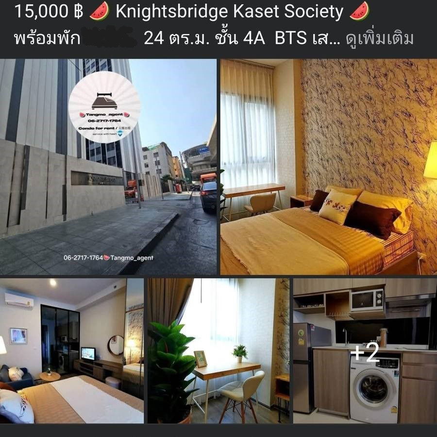 picture Knightsbridge Kaset Society                                . - 2/5