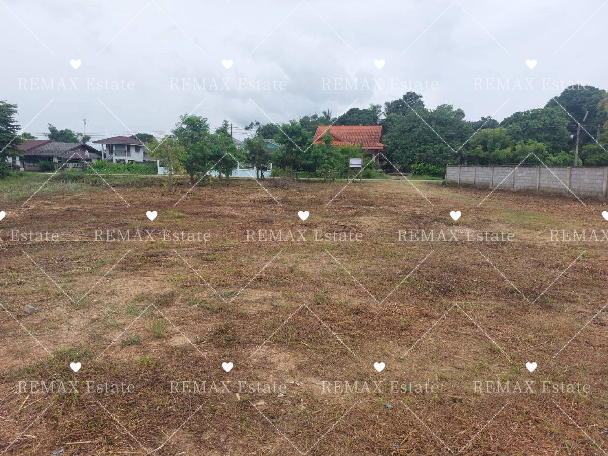 รูป ขายที่ดิน/ที่นา บ้านป่ามื่น ซอย 4 ปล้อง เทิง เชียงราย - รูปที่ 7/11