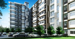 Project The Estate Sriracha Picture - 2/5