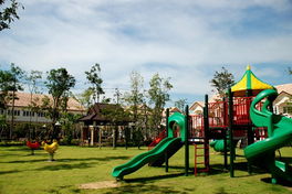 Project DREAM PLACE Picture - 3/4