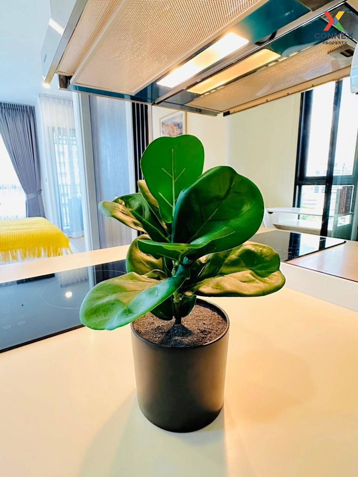 picture 🔥🔥🔥 For Rent Condo , The Rich Rama 9 - Srinakarin , ARL-Hua Mak , Suan Luang , Suan Luang , Bangkok , CX-98424 ✅ Live chat with us ADD LINE @connexproperty ✅ 🔥🔥🔥 - 2/12