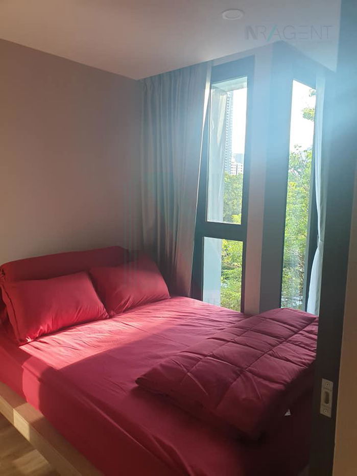 picture 🎉 For Rent Condo THE TEAK SUKHUMVIT 39 Building 1, Floor 5,1 bed room, Room size 35.00 sqm - 7/8