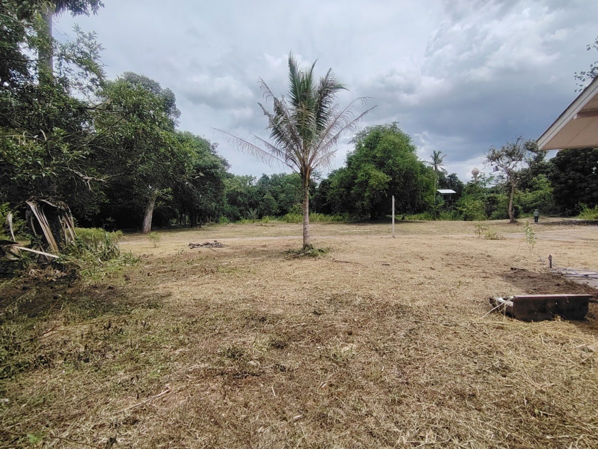 picture 3-3-04 Rai | Peaceful Park Like Atmosphere  Ideal For A Quiet Relaxing Weekend Retreat! - 12/15