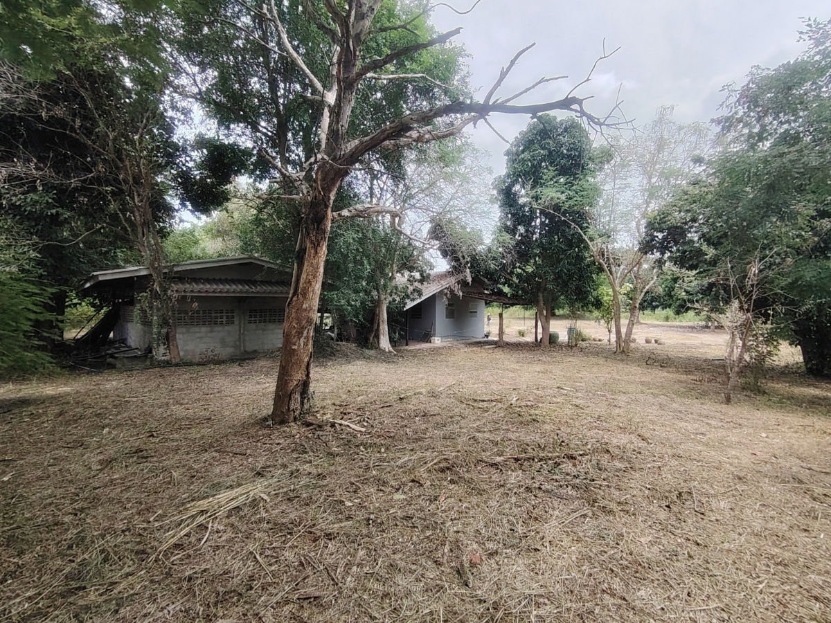 picture 3-3-04 Rai | Peaceful Park Like Atmosphere  Ideal For A Quiet Relaxing Weekend Retreat! - 13/15