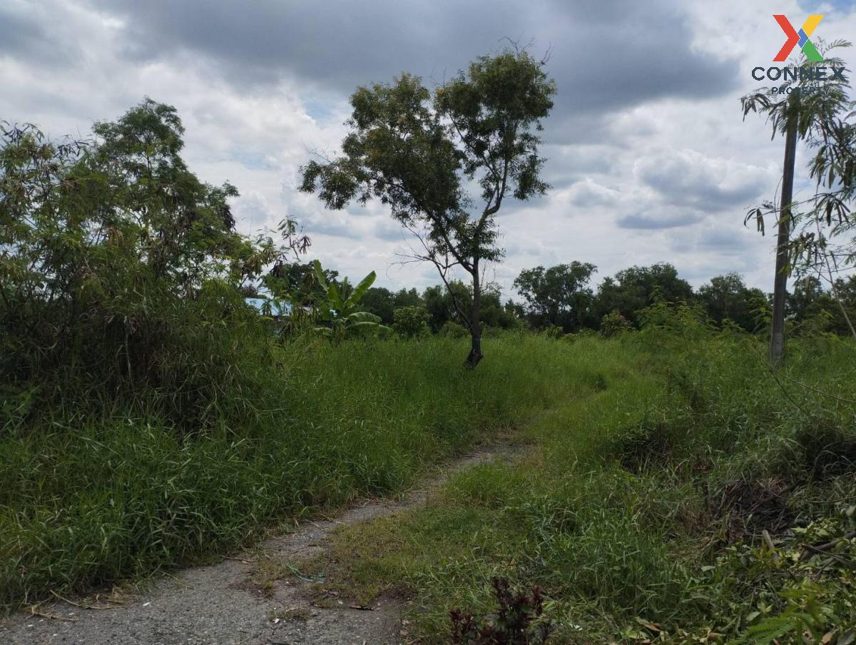 picture For Sale Land , Chalongkrung Riverville Resort , Lam Phak Chi , Nong Chok , Bangkok , CX-122728 ✅ Live chat with us ADD LINE @connexproperty ✅  - 2/4
