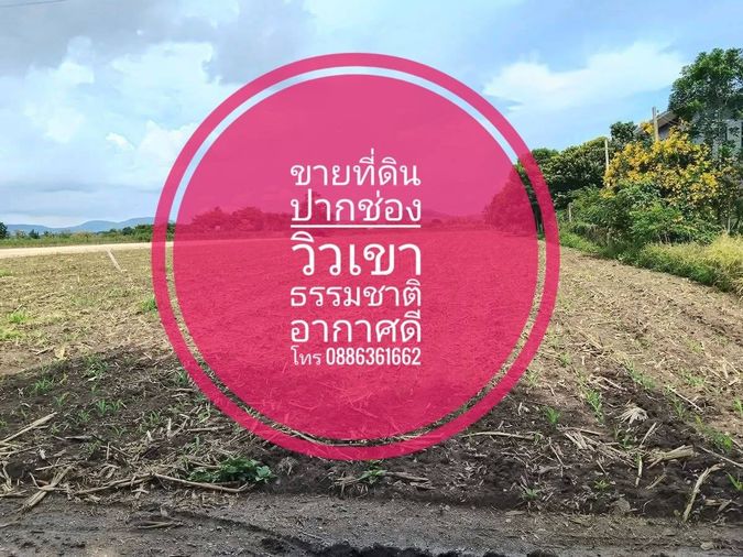 ขายที่ดิน อำเภอปากช่อง นครราชสีมา ถ.มิตรภาพ 5กม. วิวเขา ธรรมชาติ อากาศดี