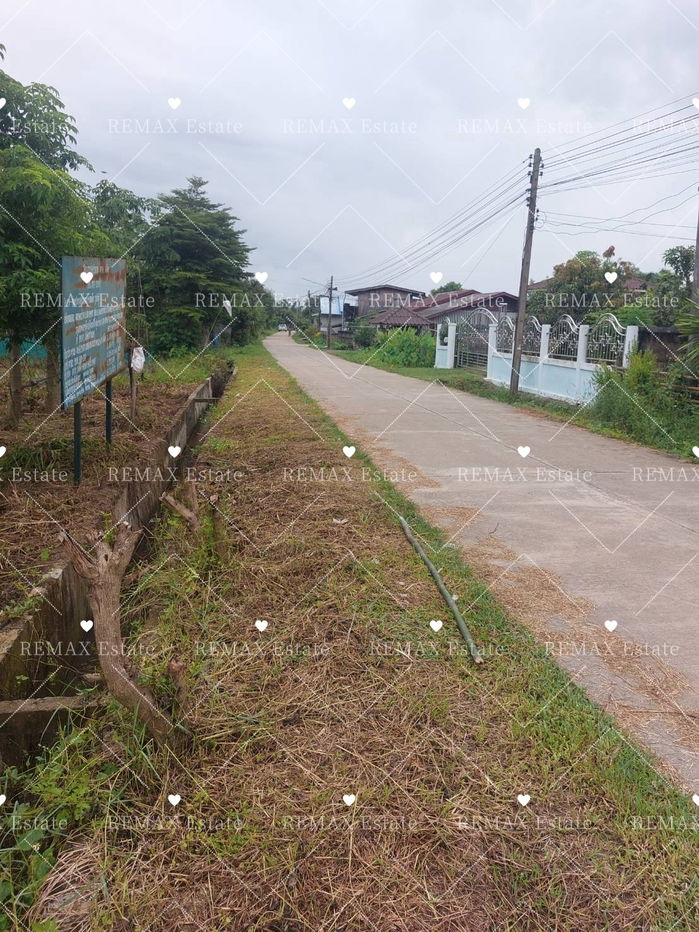 รูป ขายที่ดิน/ที่นา บ้านป่ามื่น ซอย 4 ปล้อง เทิง เชียงราย - รูปที่ 8/11
