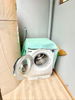 listing thumbnail image 7
