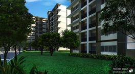 Project The Estate Sriracha Picture - 3/5