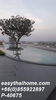 listing thumbnail image 14