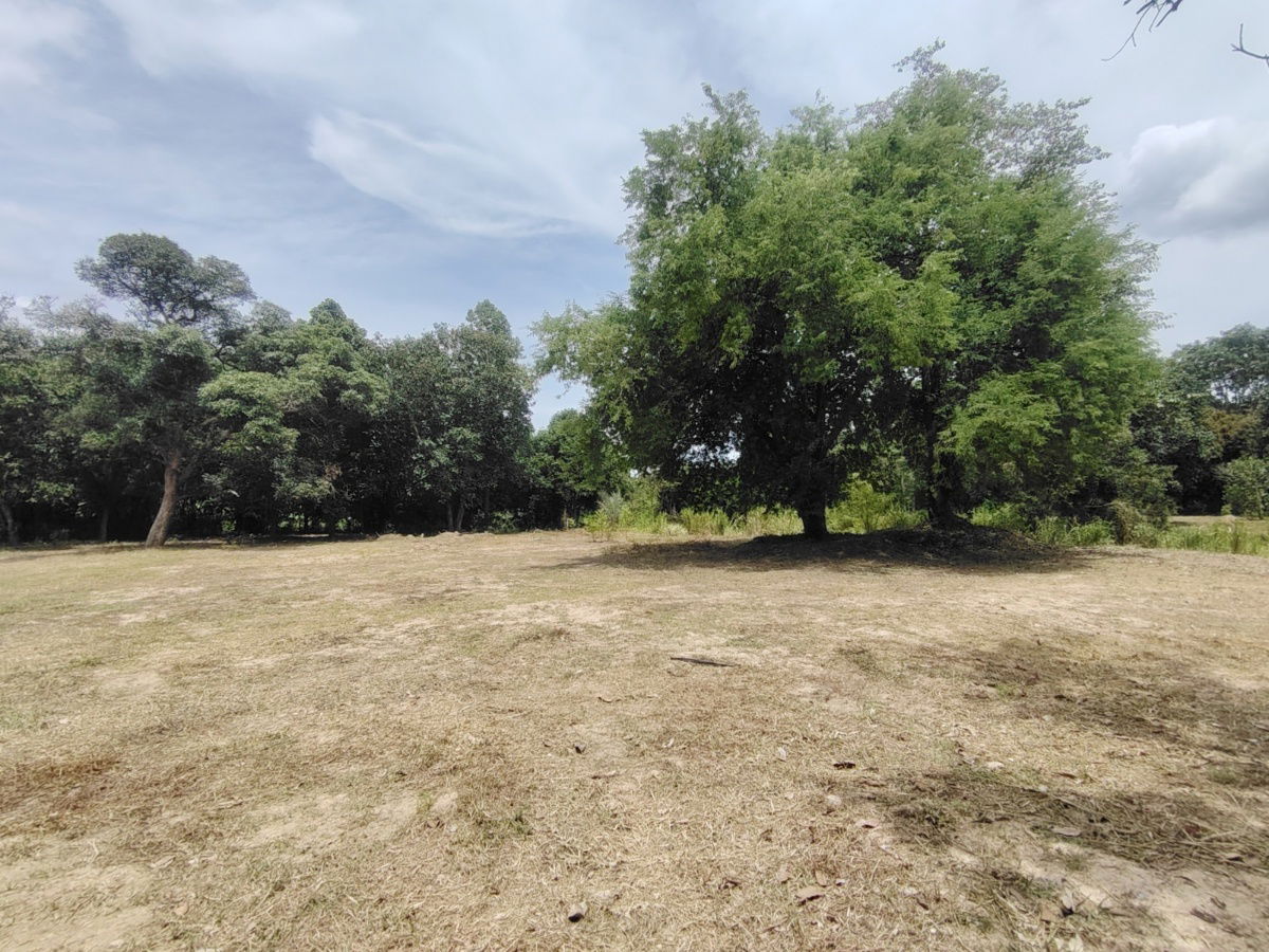 picture 3-3-04 Rai | Peaceful Park Like Atmosphere  Ideal For A Quiet Relaxing Weekend Retreat! - 3/15