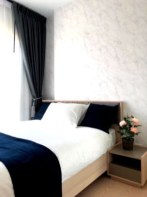 คอนโดให้เช่า : พร้อมอยู่ 15,000 The Tree Sukhumvit 71 ติดต่อ คุณแคท Line : katk03