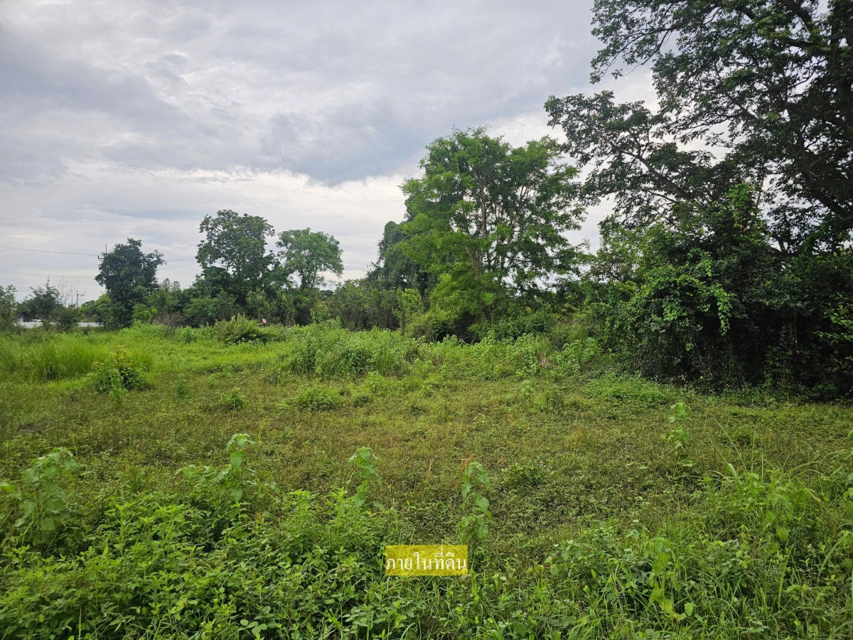 picture Land for Sale – Prime Plot in Ban Khok Sung, Khon Kaen - 4/6