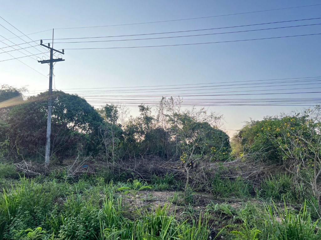 รูป  ที่ดิน 7 ไร่กว่า ติดถนน 4 เลน(3193) ใกล้อบต.โป่งน้ำร้อนเพียง 900 ม. จันทบุรี ราคาไร่ละ 1.2 ล้านบาท - รูปที่ 6/8