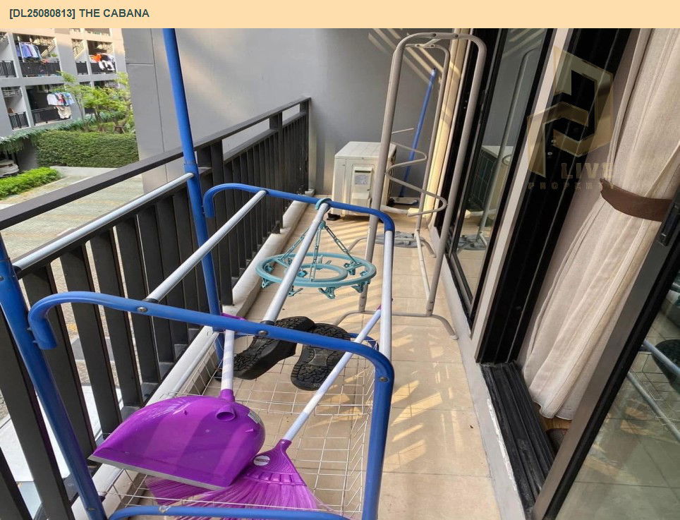 picture DL25080813 Condo for rent, The Cabana near BTS Samrong, ready to move in, call urgently 0656133286 LineID @534wlwof - 8/8