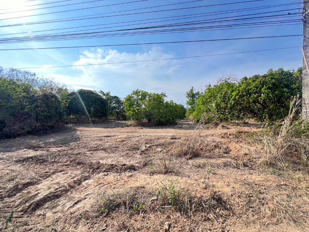 รูป  ที่ดิน 7 ไร่กว่า ติดถนน 4 เลน(3193) ใกล้อบต.โป่งน้ำร้อนเพียง 900 ม. จันทบุรี ราคาไร่ละ 1.2 ล้านบาท - รูปที่ 3/8