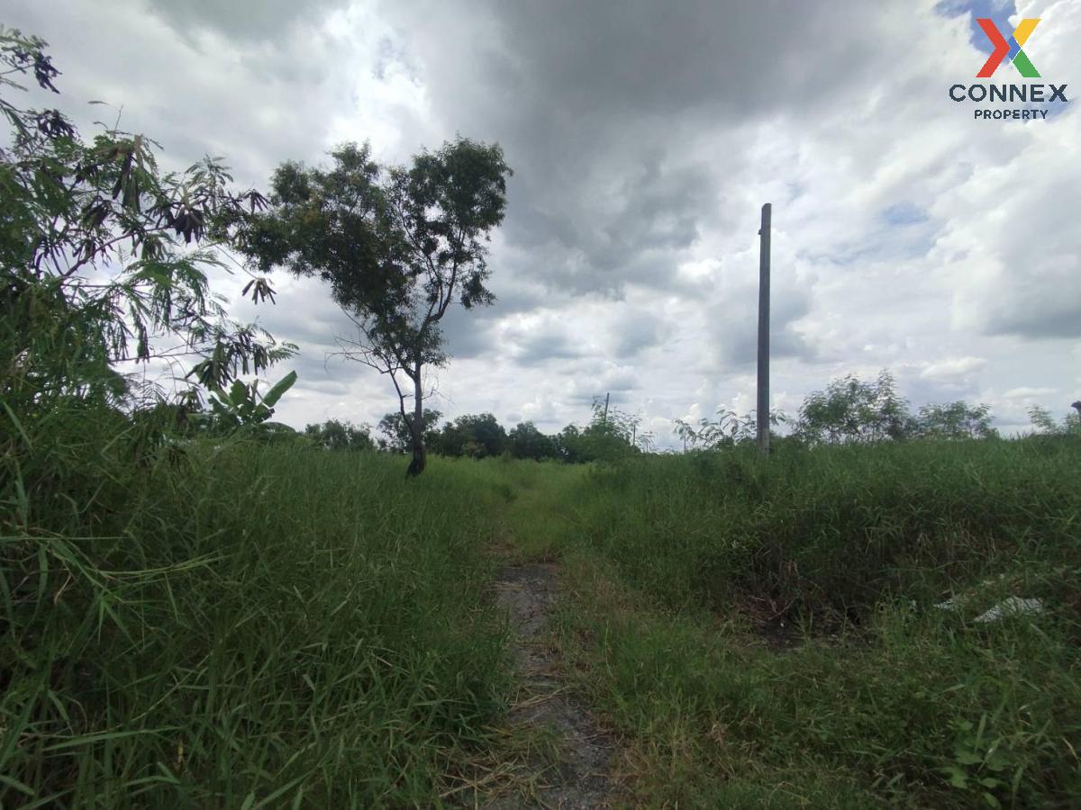 picture For Sale Land , Chalongkrung Riverville Resort , Lam Phak Chi , Nong Chok , Bangkok , CX-122728 ✅ Live chat with us ADD LINE @connexproperty ✅  - 3/4