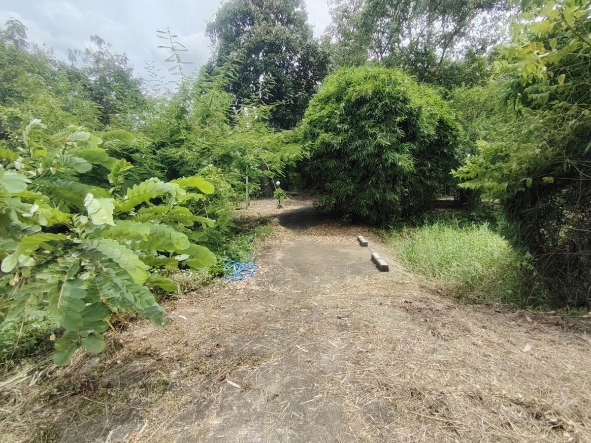 picture 3-3-04 Rai | Peaceful Park Like Atmosphere  Ideal For A Quiet Relaxing Weekend Retreat! - 8/15
