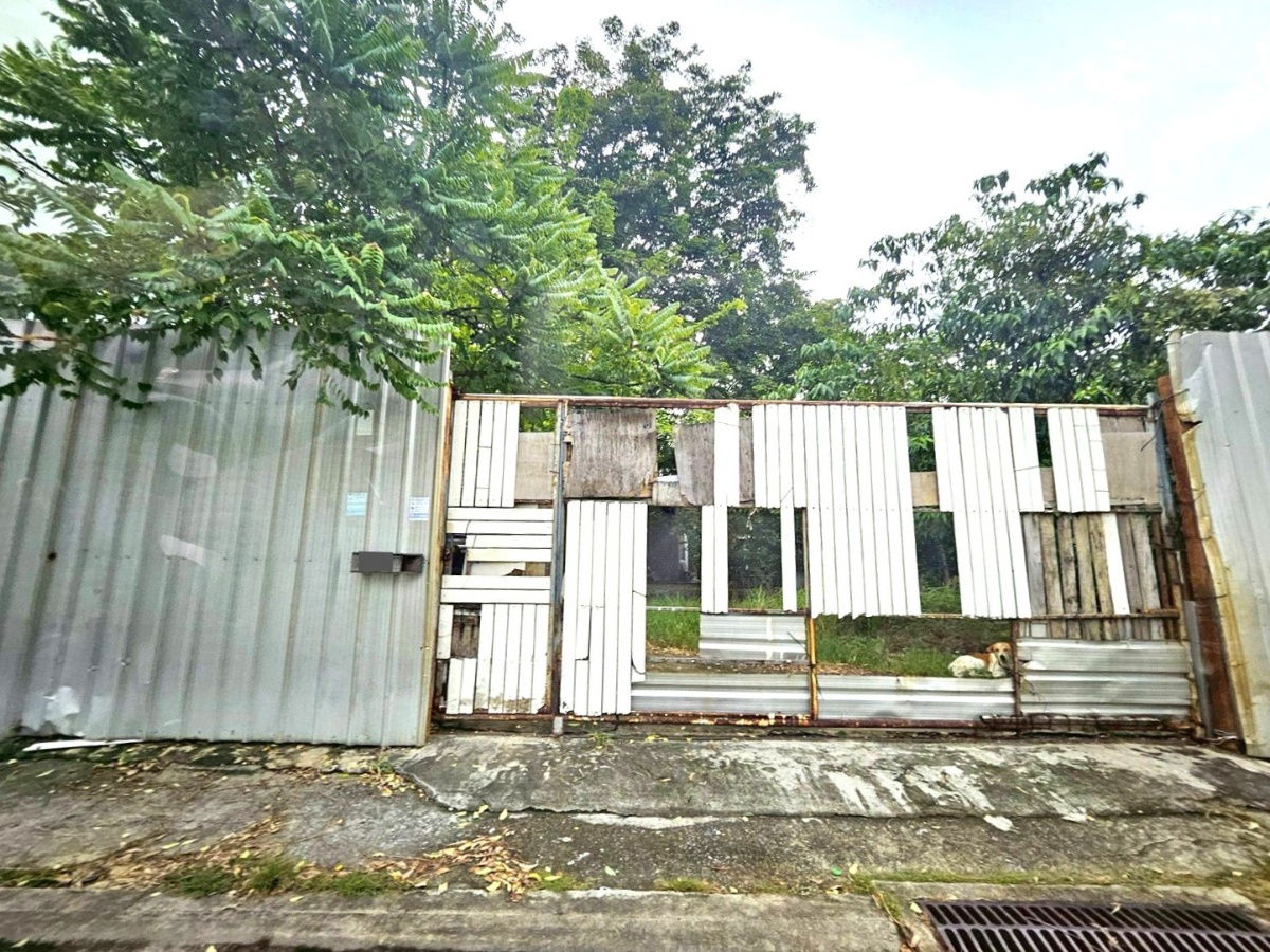รูป 🏡 ขายที่ดิน 1 ไร่ ใจกลางสุขุมวิท 54 | เดินถึง BTS อ่อนนุช | แปลงสวย ทำเลดี, ต่ำกว่าราคาตลาด! - รูปที่ 6/12
