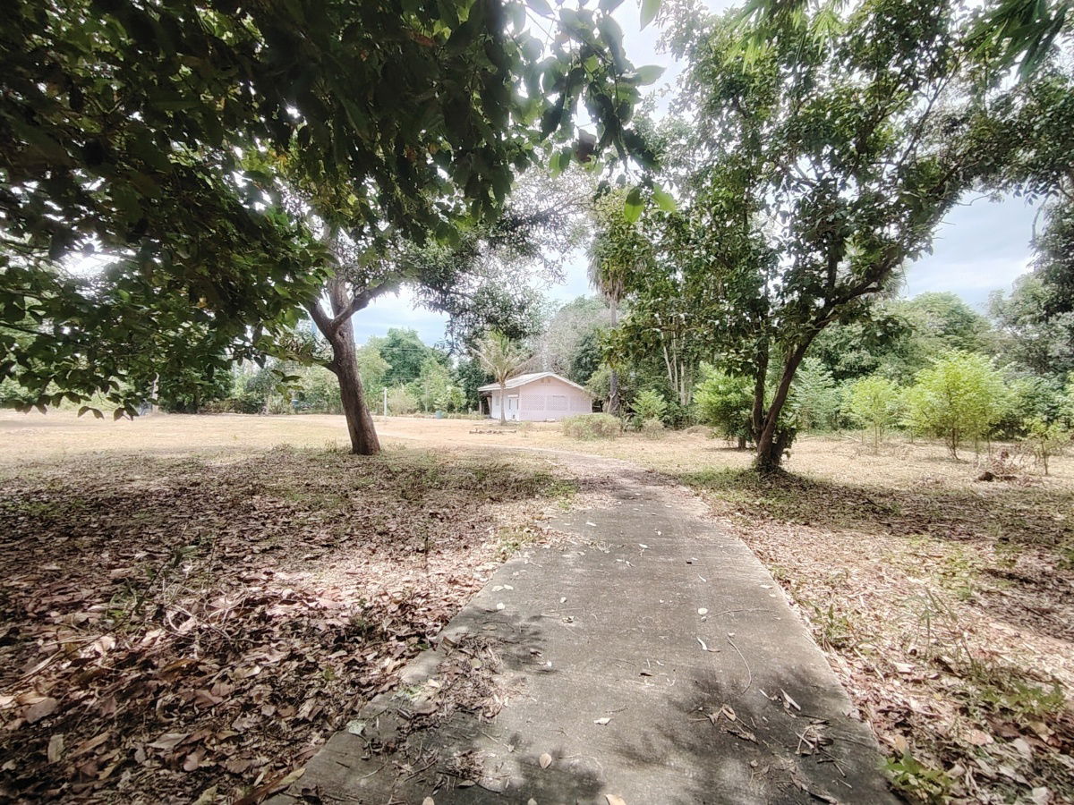 picture 3-3-04 Rai | Peaceful Park Like Atmosphere  Ideal For A Quiet Relaxing Weekend Retreat! - 7/15