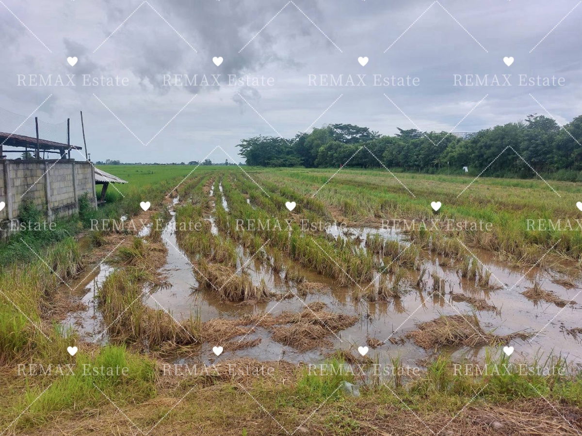 รูป ขายที่ดิน/ที่นา บ้านป่ามื่น ซอย 4 ปล้อง เทิง เชียงราย - รูปที่ 3/11