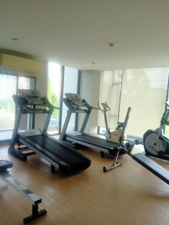 picture Dream Boxx for rent the best price. - 8/9