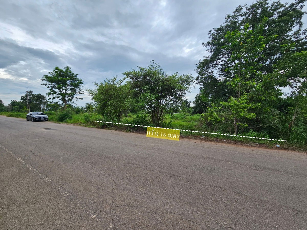 picture Land for Sale – Prime Plot in Ban Khok Sung, Khon Kaen - 3/6