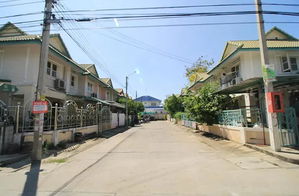 Project Baan Prueksa 30 BangBuaThong Picture - 3/3