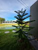 listing thumbnail image 12