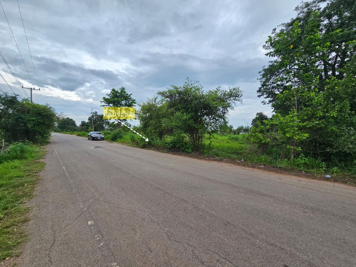 picture Land for Sale – Prime Plot in Ban Khok Sung, Khon Kaen - 2/6