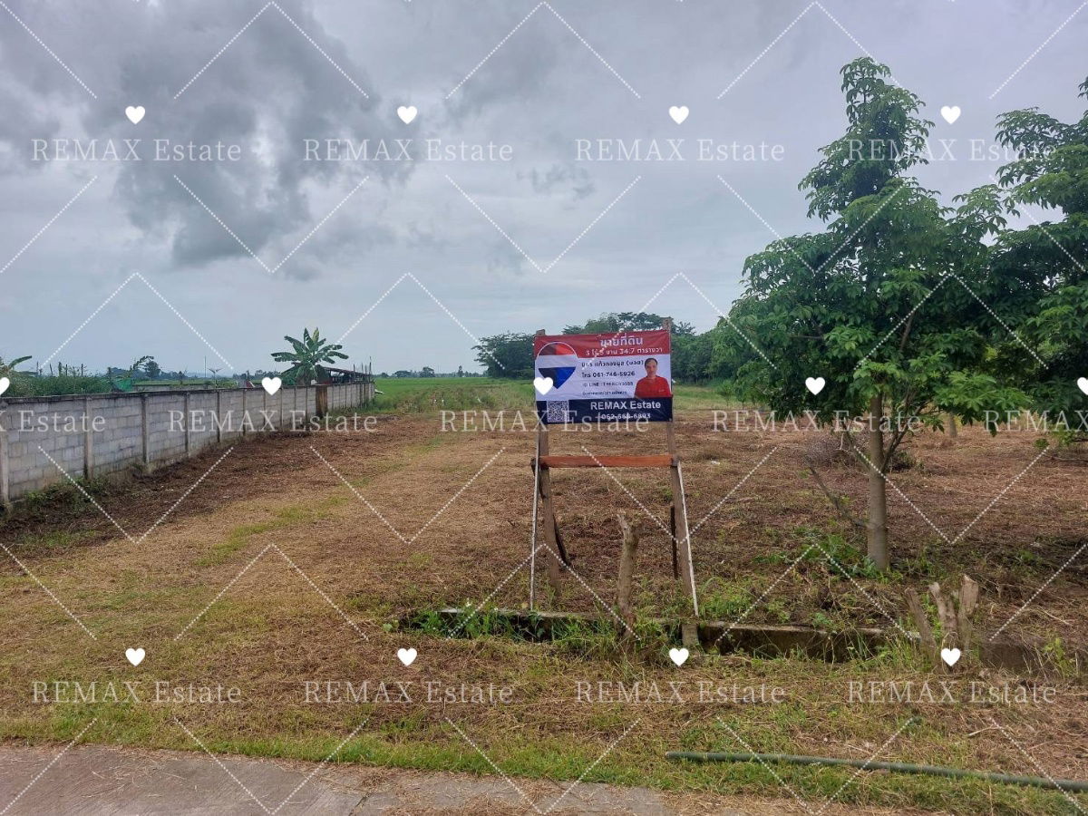 รูป ขายที่ดิน/ที่นา บ้านป่ามื่น ซอย 4 ปล้อง เทิง เชียงราย - รูปที่ 10/11