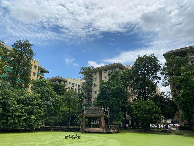 picture AS1526 The Parkland Bangna Condo for rent - 11/11