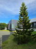 listing thumbnail image 21