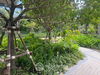listing thumbnail image 26