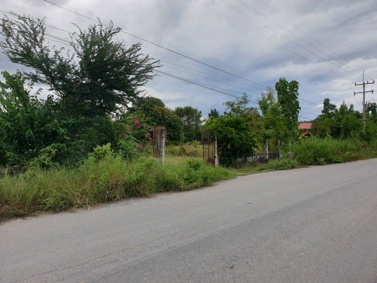 รูป ขายที่ดิน มีโฉนด มีรั้วรอบ เป็นแปลงสวนเกษตรผสมผสาน ร่มรื่น  - รูปที่ 2/10