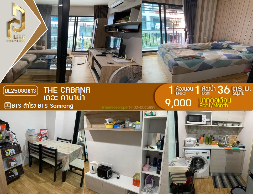 picture DL25080813 Condo for rent, The Cabana near BTS Samrong, ready to move in, call urgently 0656133286 LineID @534wlwof - 1/8