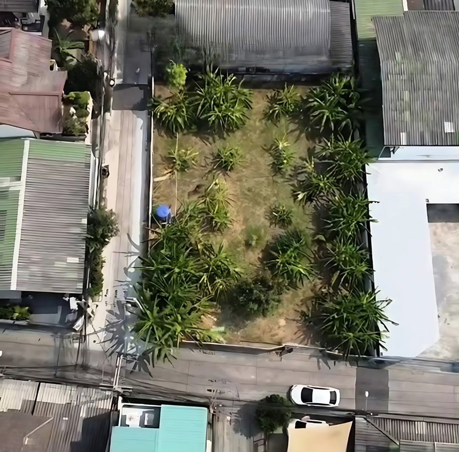 picture Land for sale in Lad Phrao, brown map FAR7, suitable for building a residence or a car park. - 9/10