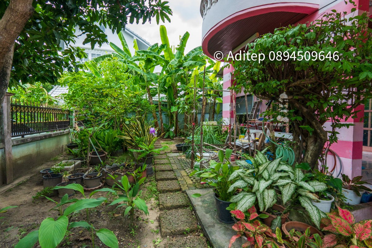 รูป ขาย บ้านเดี่ยว 120 ตรว. หมู่บ้าน นครินทร์ การ์เด้น ร่มเกล้า 19/1 พร้อมอาคารสำนักงาน  เหมาะทั้งในการเป็น Home Office และอยู่อาศัย - รูปที่ 9/27