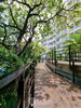 listing thumbnail image 20