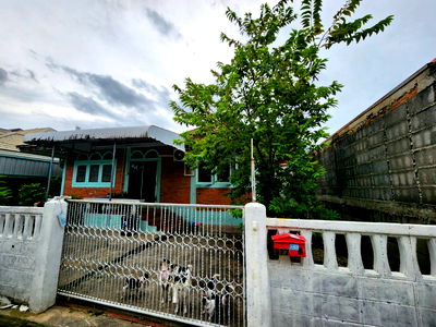 Houses for rent Bangkok : House for rent Ladprao62-64 3 Bed Room 2 Toilet 1 Kitchen