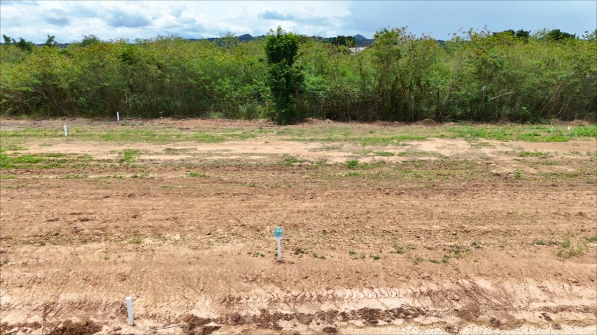 picture Subdivided Land for Sale – Khao Yai View, Moo Si, Pak Chong,Prime location for your holiday home near Bangkok - 12/14