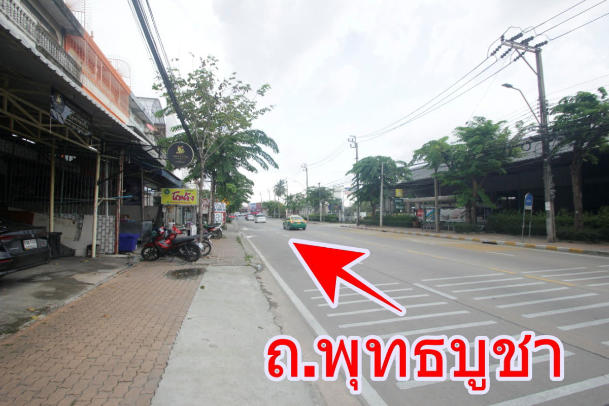 รูป ให้เช่าอาคารพาณิชย์ริมถนนพุทธบูชา พระราม2 ประชาอุทิศ ที่ดิน 41.4 ตารางวา 3ชั้น มีชั้นลอย ดาดฟ้า ค้าขายได้ ทำสำนักงาน ใกล้สวนธนบุรีรมย์ เทคโนบางมด - รูปที่ 24/30