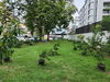 listing thumbnail image 26