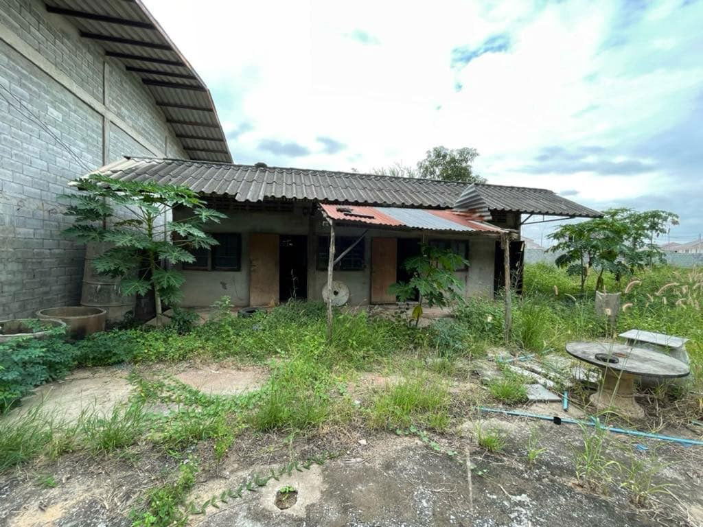 picture Land for Rent: 3 Rai with Warehouse and worker housing - 12/12