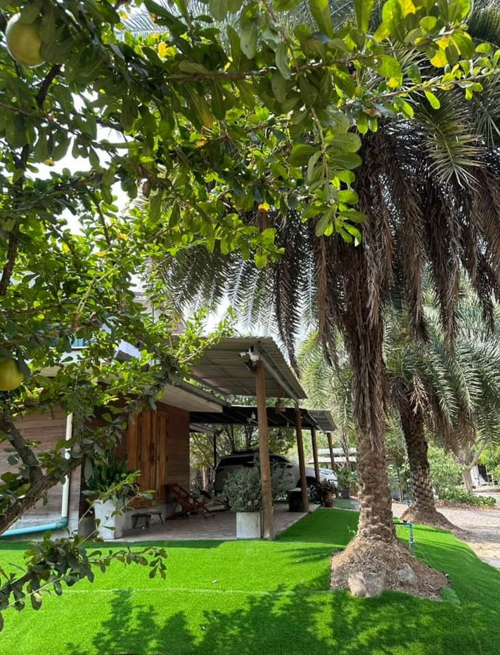 รูป ที่ดิน2ไร่2งาน5ตรว. พร้อมบ้านสวนผลไม้ โฉนดครุฑแดง - รูปที่ 3/10