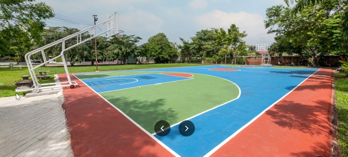 รูป PK008 ขายบ้านเดี่ยวสไตล์คลาสสิก พื้นที่กว้าง หมู่บ้านชัยพฤกษ์ บางแวก | โครงการคุณภาพจาก Land & Houses - รูปที่ 14/16