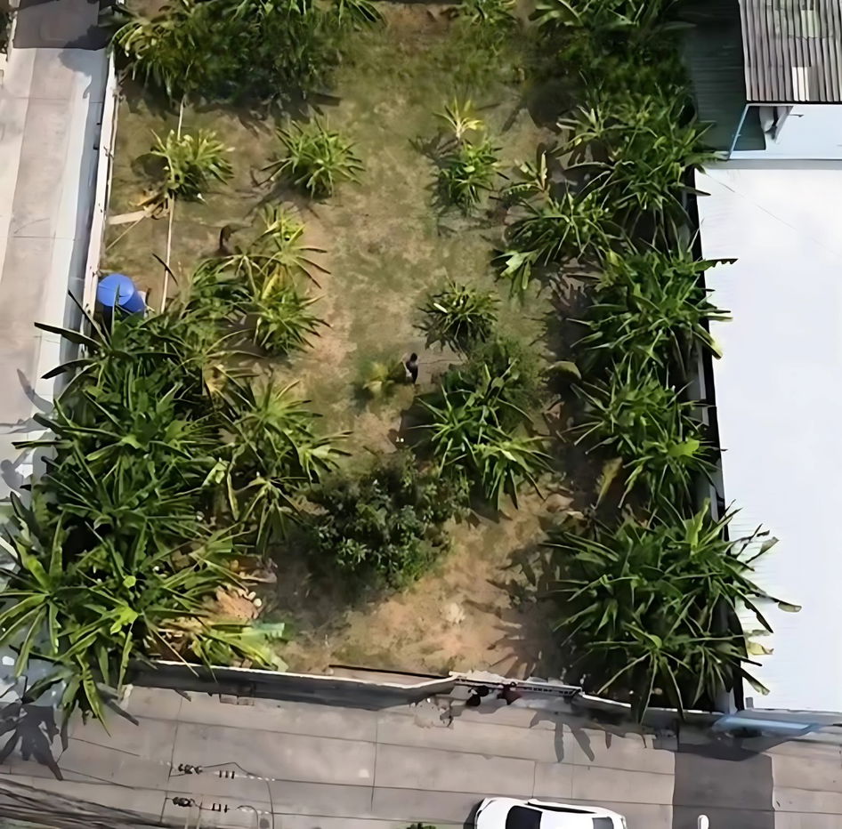 picture Land for sale in Lad Phrao, brown map FAR7, suitable for building a residence or a car park. - 10/10