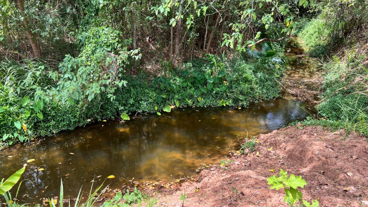 picture Subdivided Land for Sale – Khao Yai View, Moo Si, Pak Chong,Prime location for your holiday home near Bangkok - 14/14